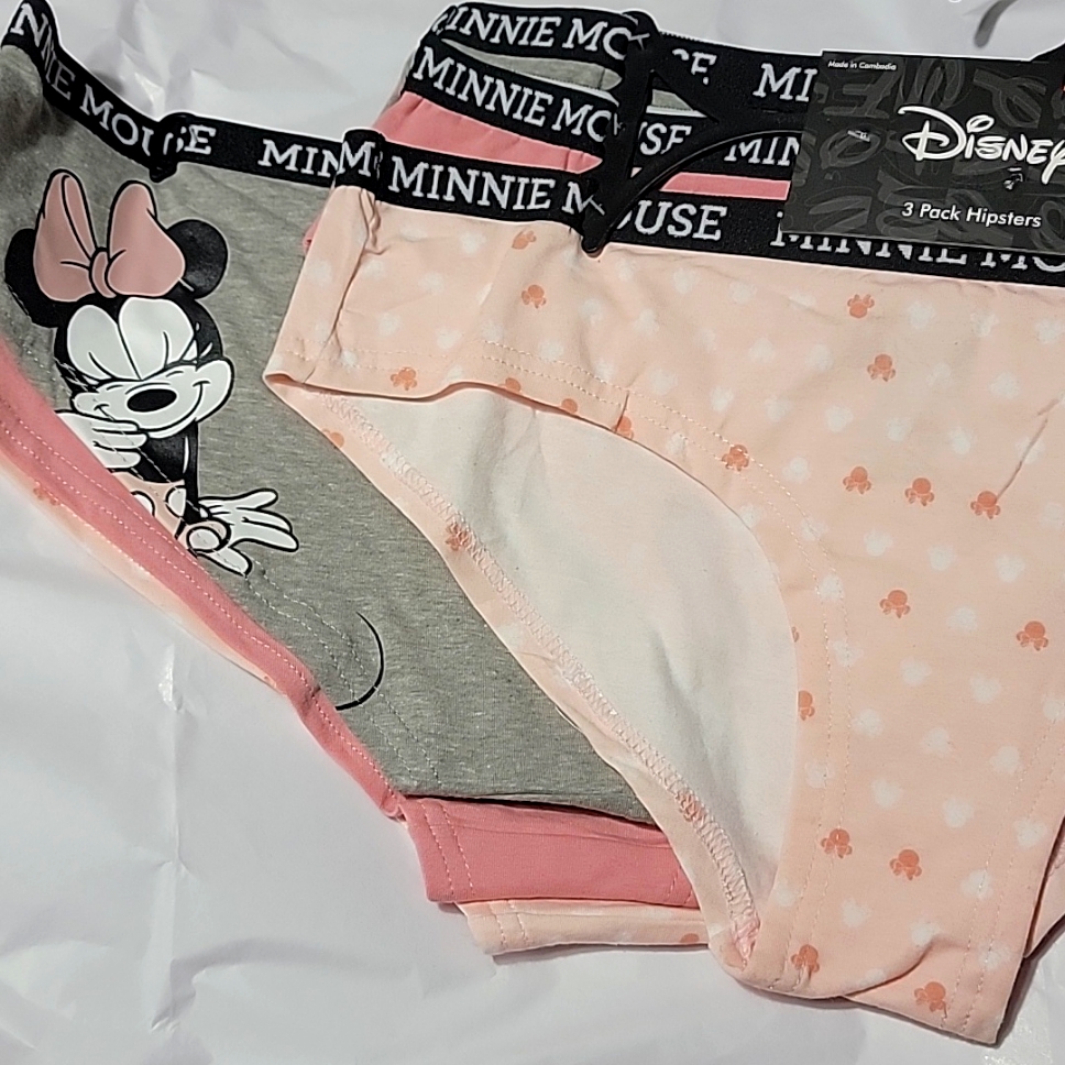 Nwt Disney Minnie Mouse 3 Pack Hipster Panties Cotton Briefly Stated Plus Size